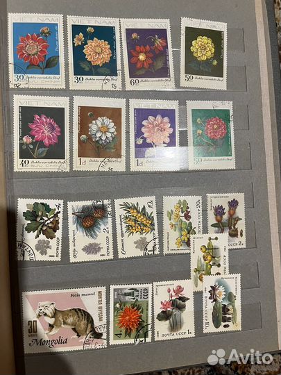 Почтовые марки