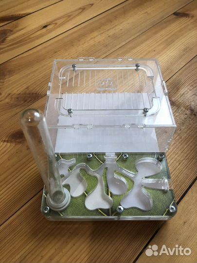 Муравьиная ферма бу