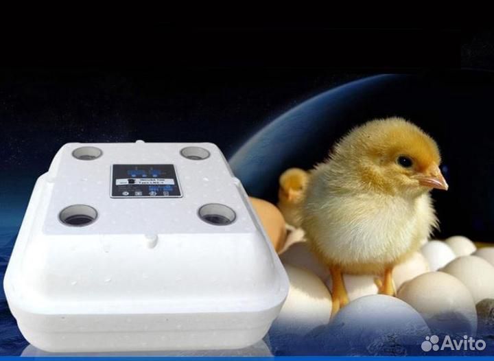 Инкубаторы