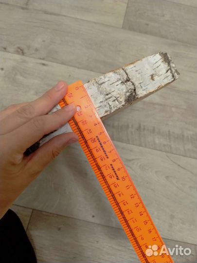 Спилы березы