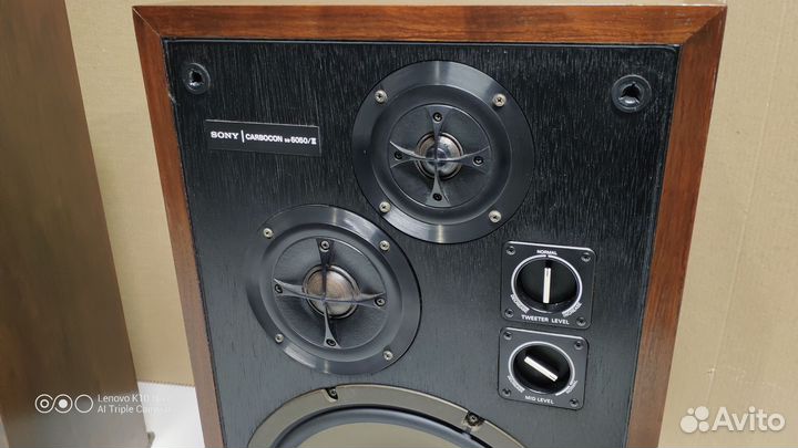 Колонки Sony SS-5050-II Carbocon