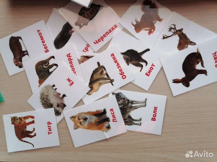 Карточки для малышей