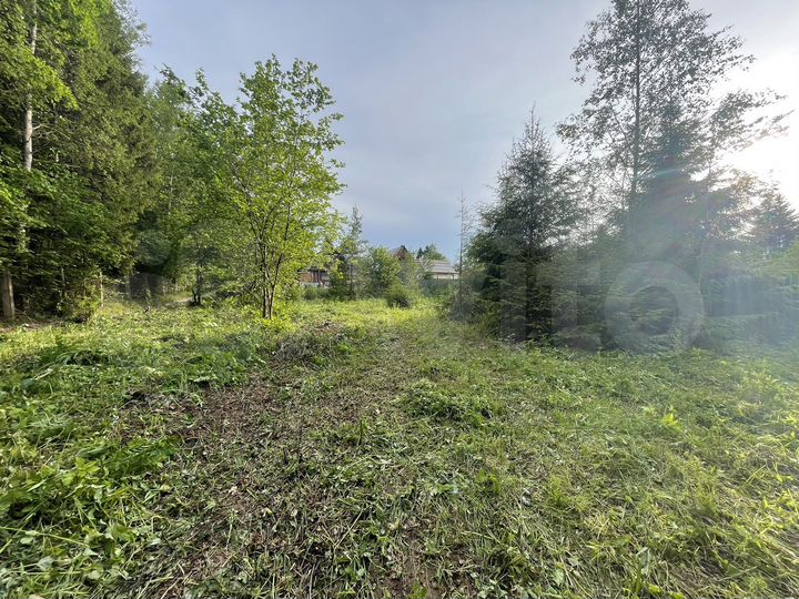 Участок 6,5 сот. (СНТ, ДНП)