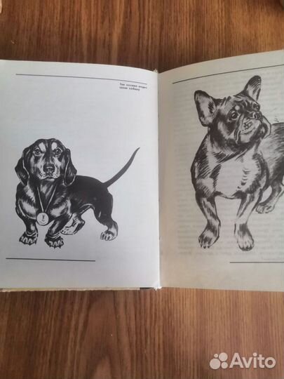 Книга О чем лают собаки