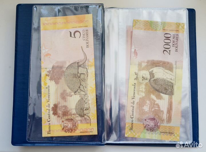 Альбом для банкнот