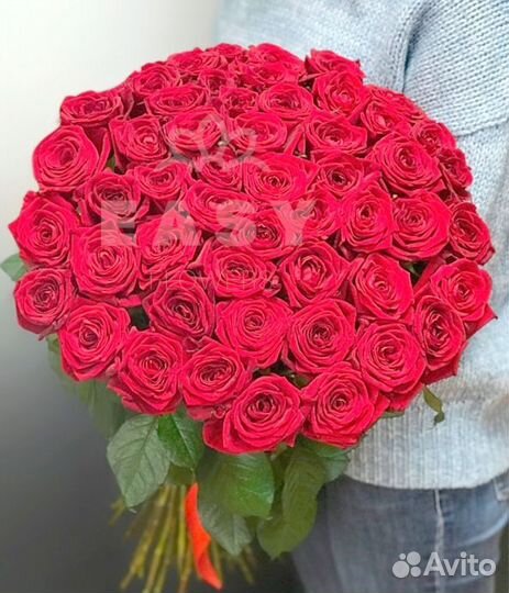 101 роза оптом букет доставка розы
