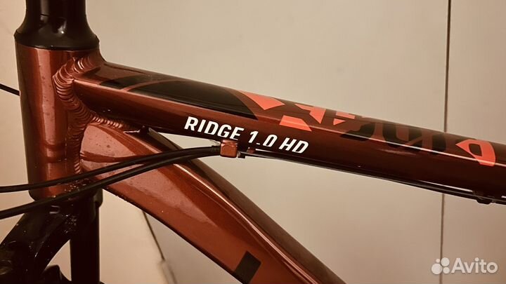 Welt Велосипед Ridge 1.0 HD 29