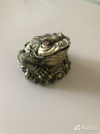 Денежная жаба большая