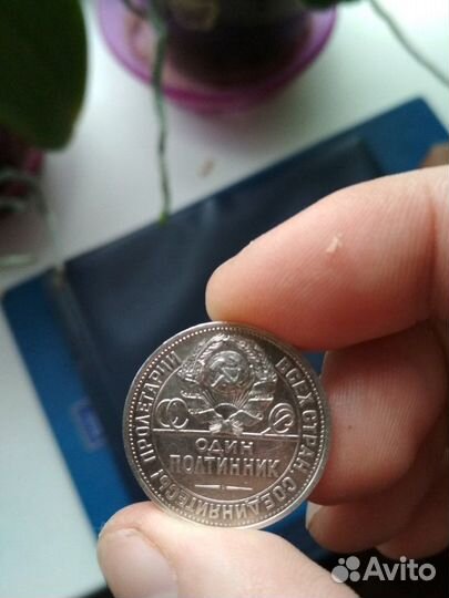 Один полтинник 1924 года