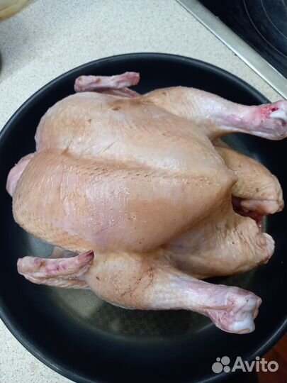 Тушки бройлеров, уток, гусей, цесарок, перепелок