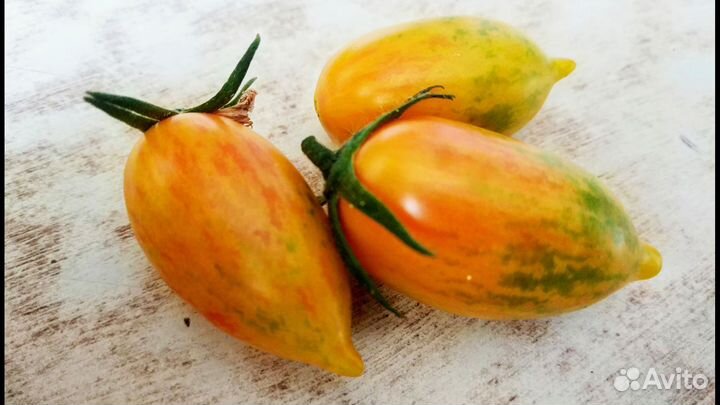 Семена коллекционных сортов томатов