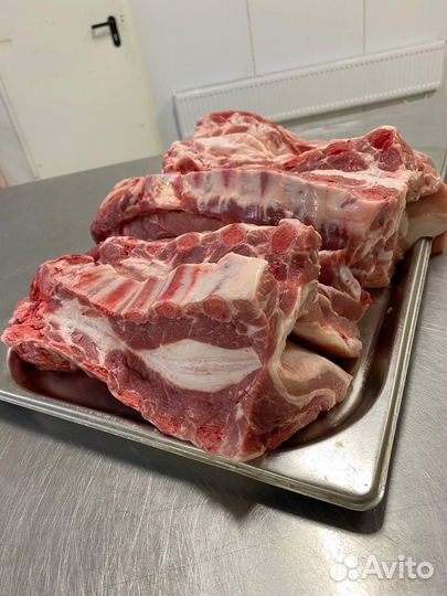Мясо свинина