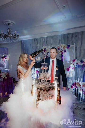 Алегрия Шоу на свадьбу юбилей корпоратив праздник