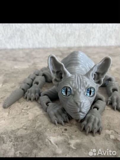 Котик серый Наргиза