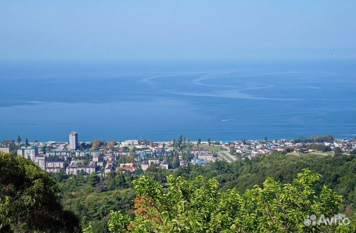 Турпоездка в Abkhaziy 7 дней