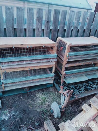 Клетки для перепелов