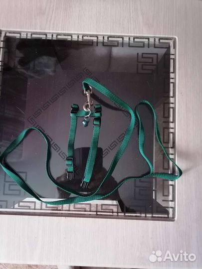 Шлейка для хорька