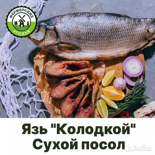 Язь Колодкой Сухой посол и хк Опт. Розница
