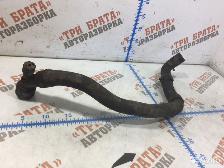 Шкода Румстер Патрубок радиатора нижний Нижн