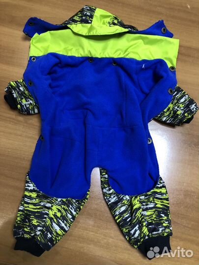 Одежда для собак разных пород