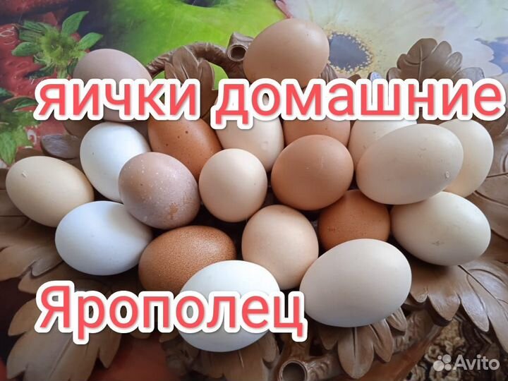 Домашние куриные яйца