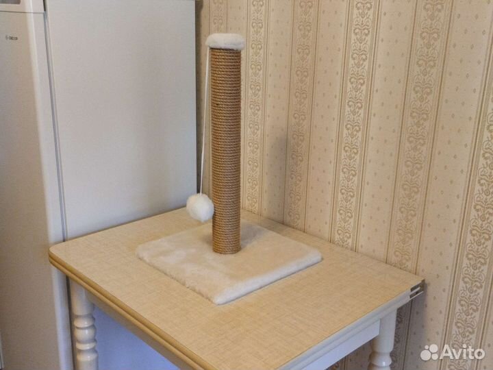 Когтеточка