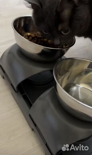 Миска для животных