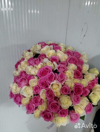 Розы, букет цветов 101 роза