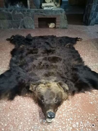 Шкура медведя (Имитация)