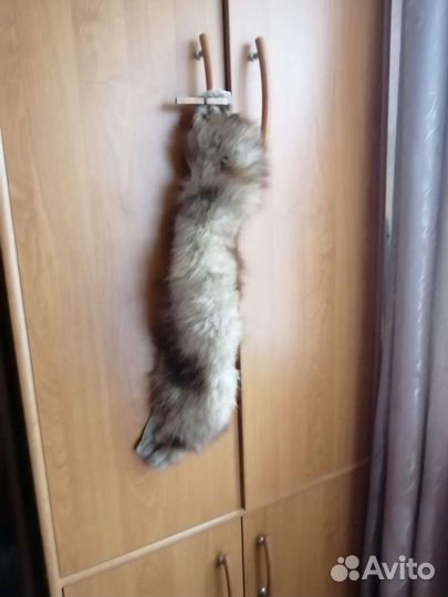 Меховые воротники