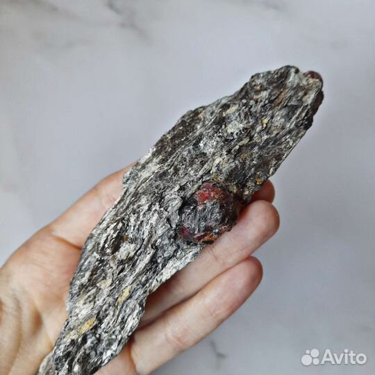 Гранат (альмандин) в метаморфическом сланце