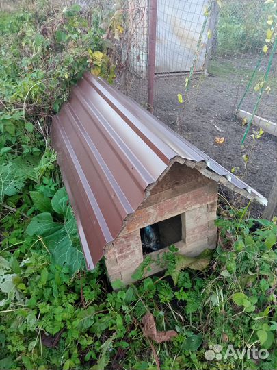 Будка для собаки