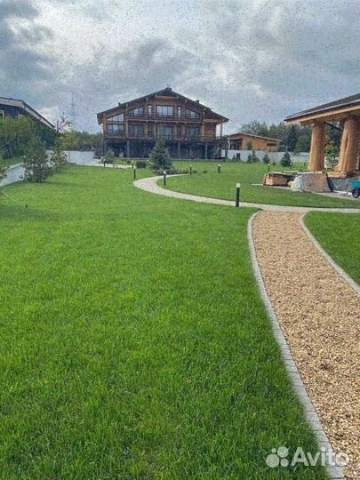 Рулонный газон, укладка, продажа