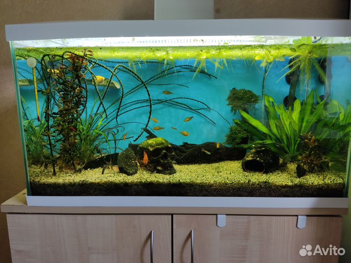 Аквариум с тумбой