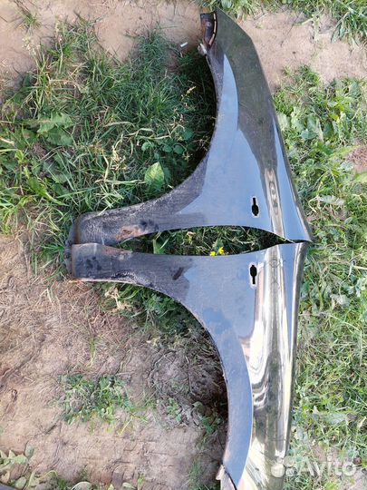 Крылья от гранты