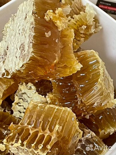 Мед фацелия 2023