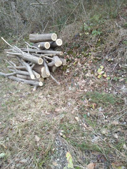 Участок 6,2 сот. (СНТ, ДНП)