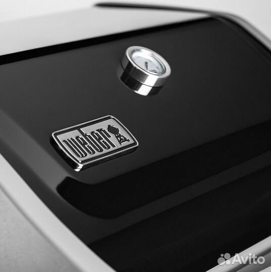 Гриль газовый Weber Spirit II E-310