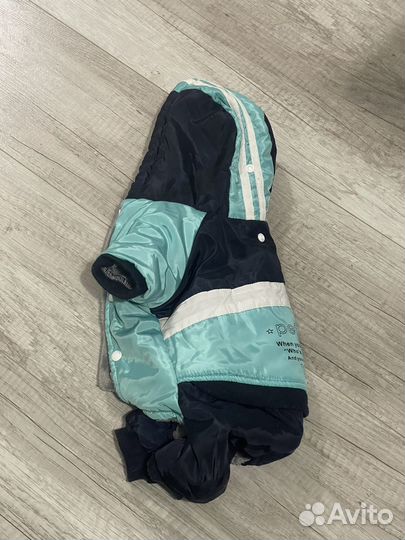 Одежда для собаки