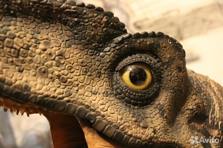 Раптор динозавр Raptor Jurassic World два варианта