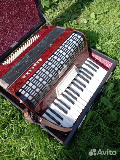 Баян россия