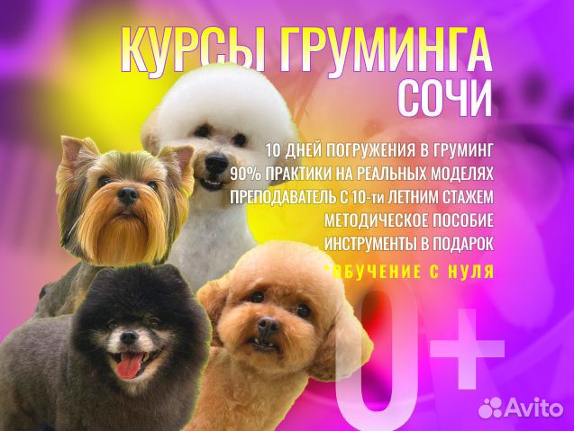 Курсы груминга в Сочи
