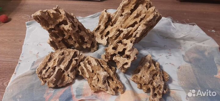 Туф (ракушечник)