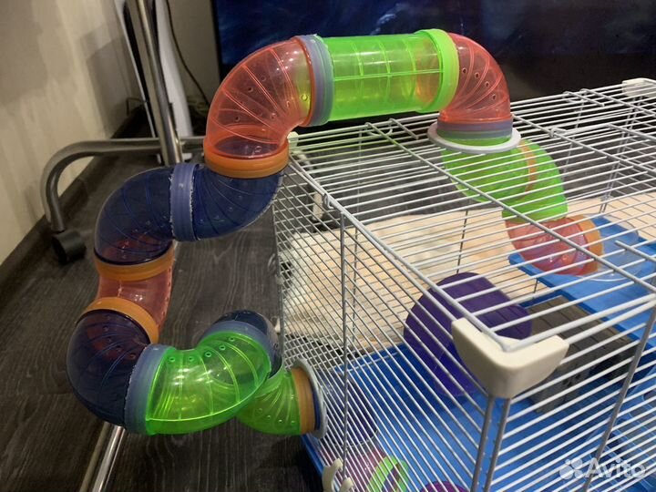 Большая клетка для хомячка джингарика крыски