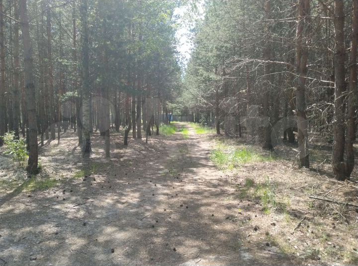Участок 30 сот. (СНТ, ДНП)