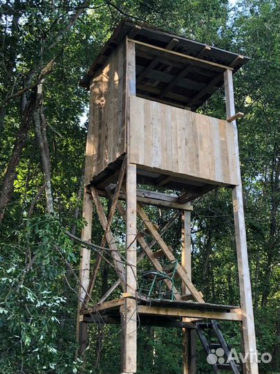 Приглашаю на охоту 100 км от Москвы