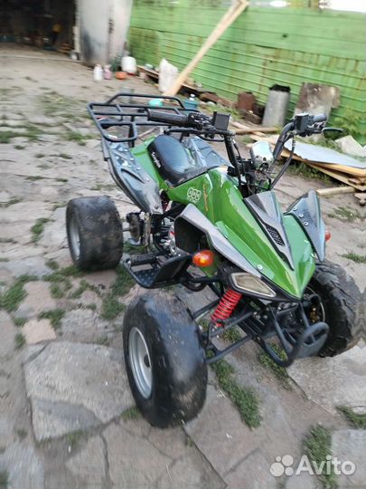 Scorpion