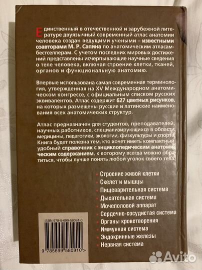 Анатомия человека