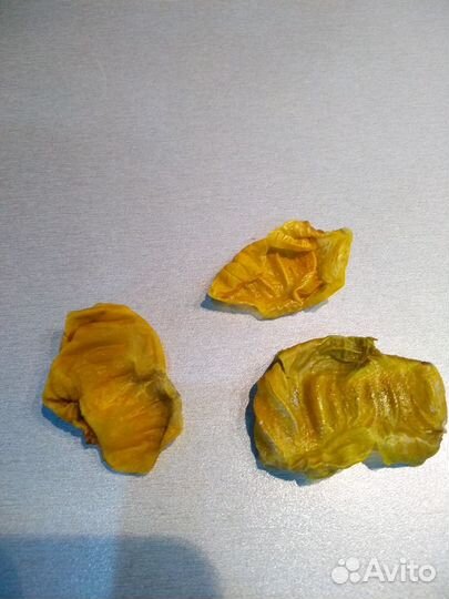 Пленки куриных желудков домашних кур