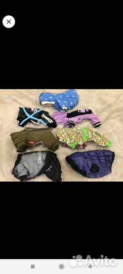 Одежда для самых маленьких питомцев